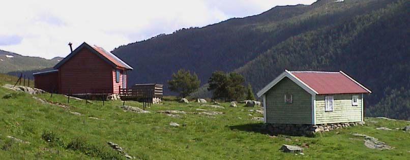 baur.jpg (42748 bytes)